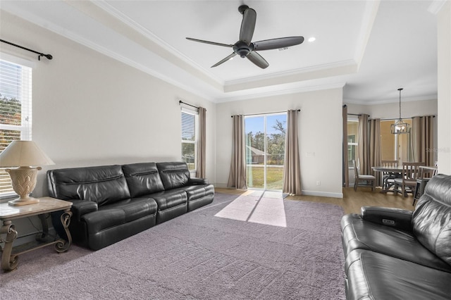 living room with a raised ceiling, a wealth of natural light, ceiling fan with notable chandelier, and ornamental molding