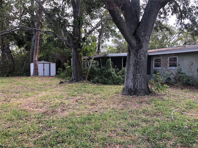 view of yard featuring a shed