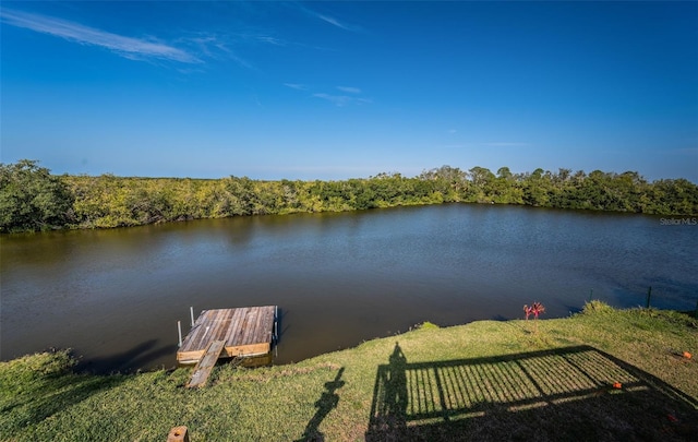 view of dock featuring a water view