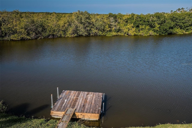 view of dock with a water view