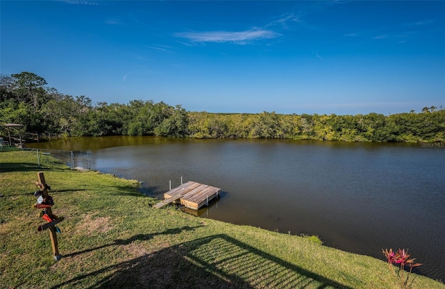 view of dock featuring a water view