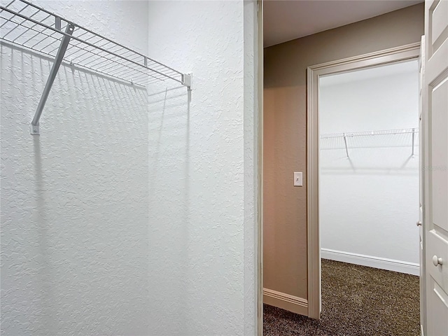 spacious closet with dark colored carpet