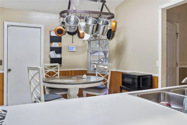 kitchen with sink and wooden walls