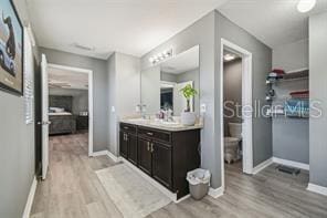 bathroom with wood-type flooring and vanity