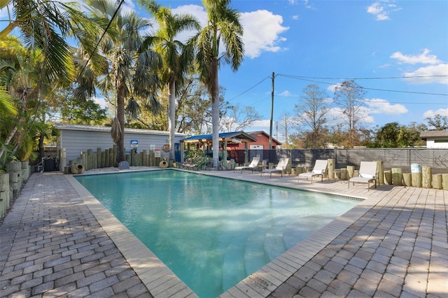 view of pool with a patio area