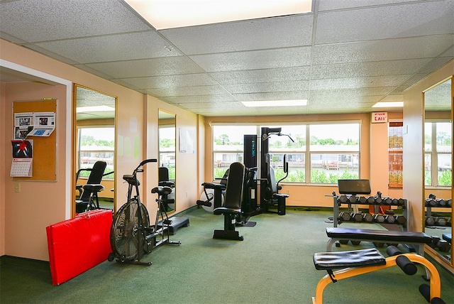 exercise room featuring carpet floors