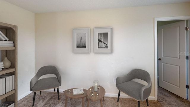 sitting room featuring carpet floors