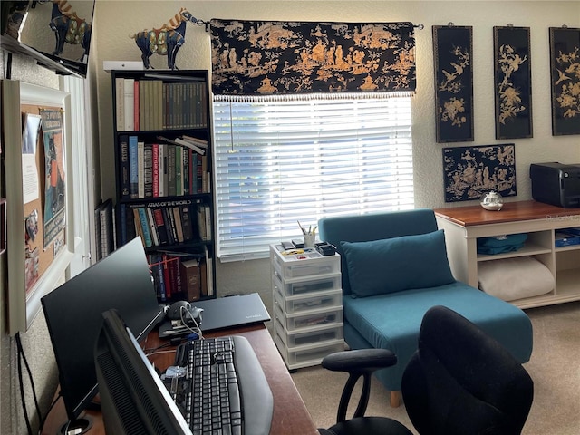 home office with carpet