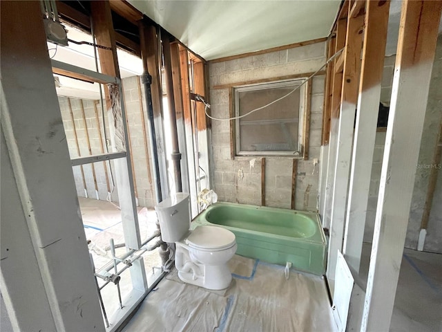 bathroom with a washtub and toilet