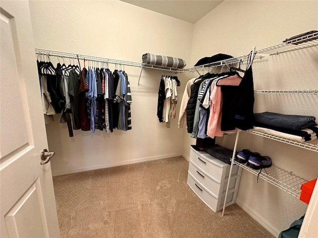 spacious closet featuring light colored carpet