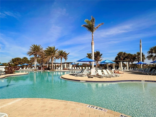 view of pool with a patio