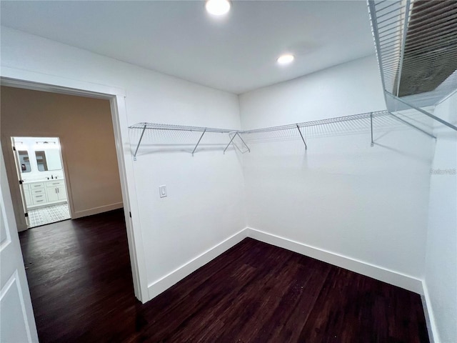 spacious closet featuring dark wood-type flooring