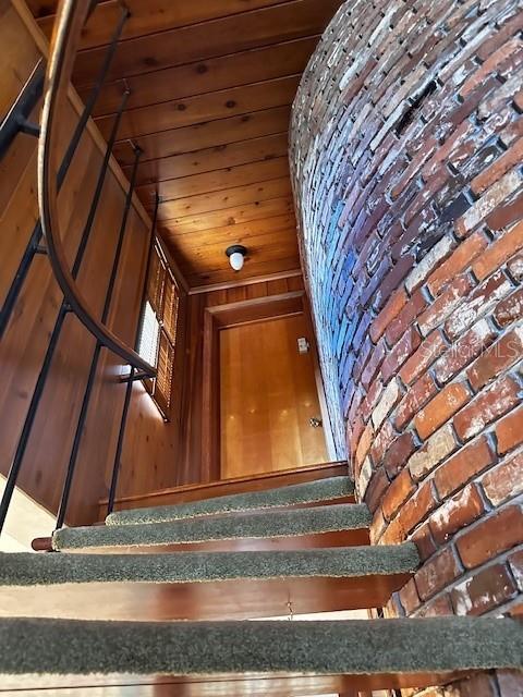 stairway with wood walls and wooden ceiling