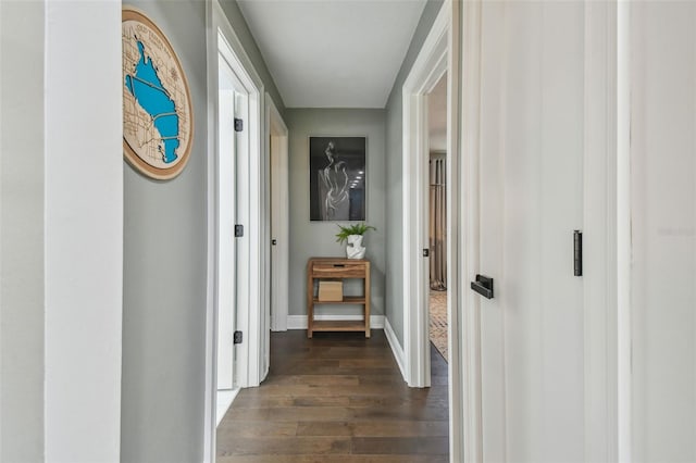 corridor featuring dark hardwood / wood-style flooring