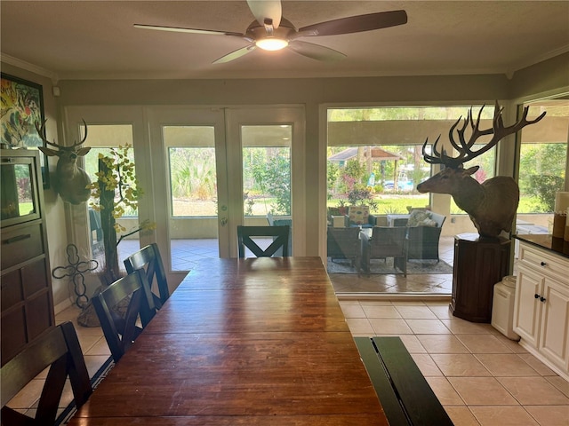 sunroom with ceiling fan