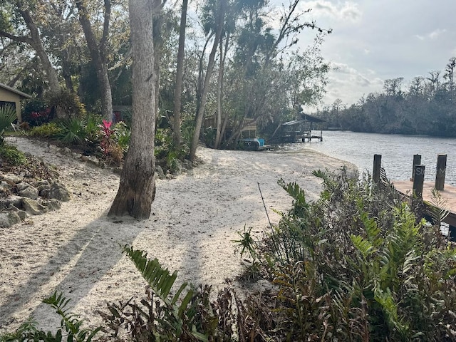 view of yard with a water view