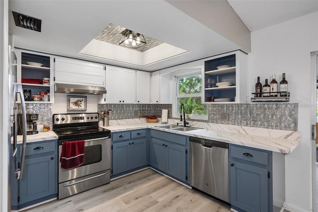 kitchen with ventilation hood, blue cabinetry, sink, and appliances with stainless steel finishes