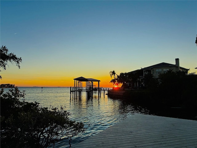 dock area with a water view