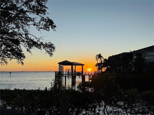 dock area with a water view