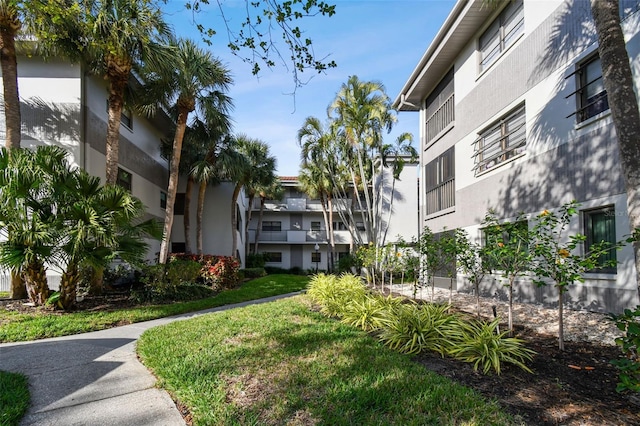 2650 Countryside Blvd Unit C309, Clearwater, FL 33761 - photo 2