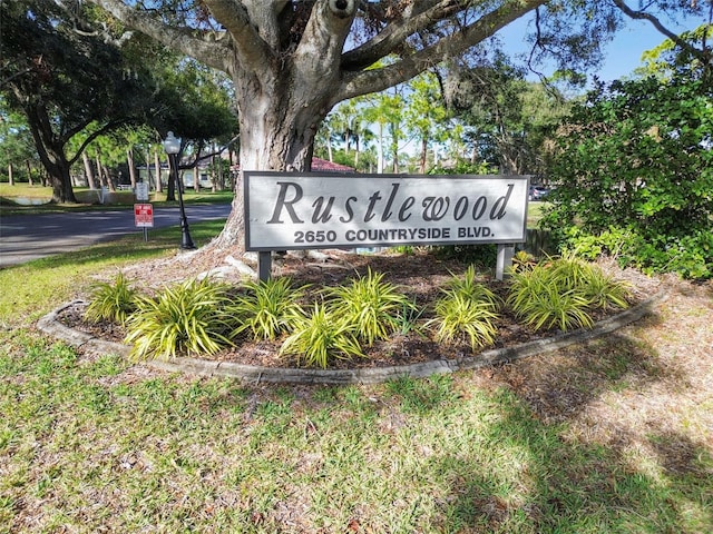 2650 Countryside Blvd Unit C309, Clearwater, FL 33761 - photo 39