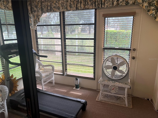 workout room with carpet flooring