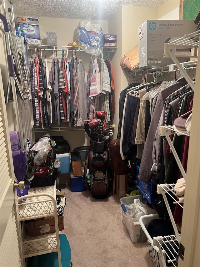 spacious closet featuring carpet floors