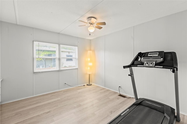 exercise room featuring ceiling fan and light hardwood / wood-style flooring