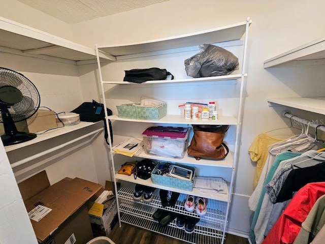 spacious closet with dark hardwood / wood-style floors