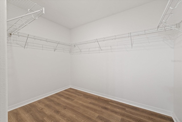 walk in closet featuring hardwood / wood-style floors