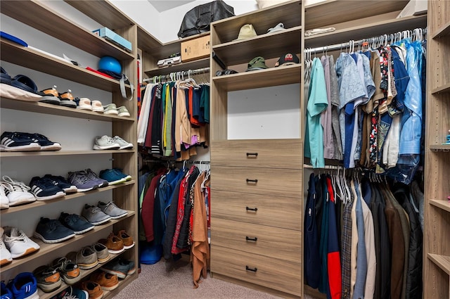 spacious closet with carpet floors