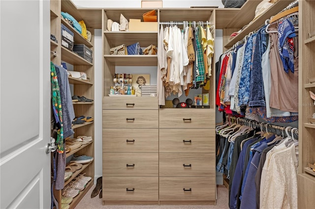 walk in closet featuring carpet floors