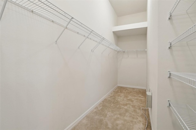 walk in closet featuring light carpet