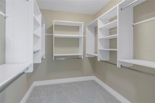 walk in closet featuring carpet floors