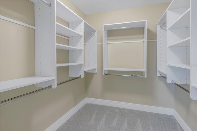 spacious closet with carpet