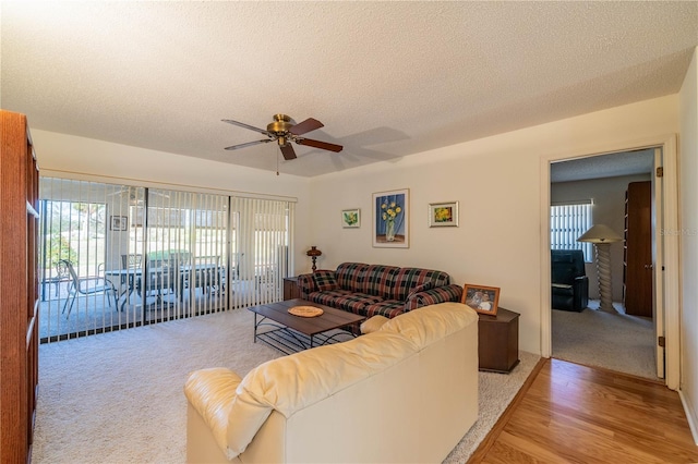 living room featuring ceiling fan, a textured ceiling, and light wood-type flooring