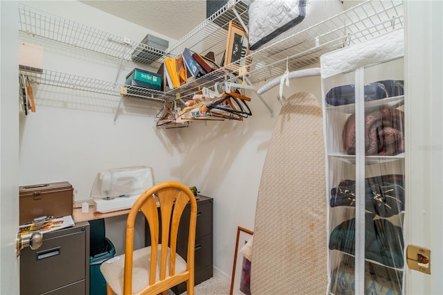 spacious closet featuring carpet floors