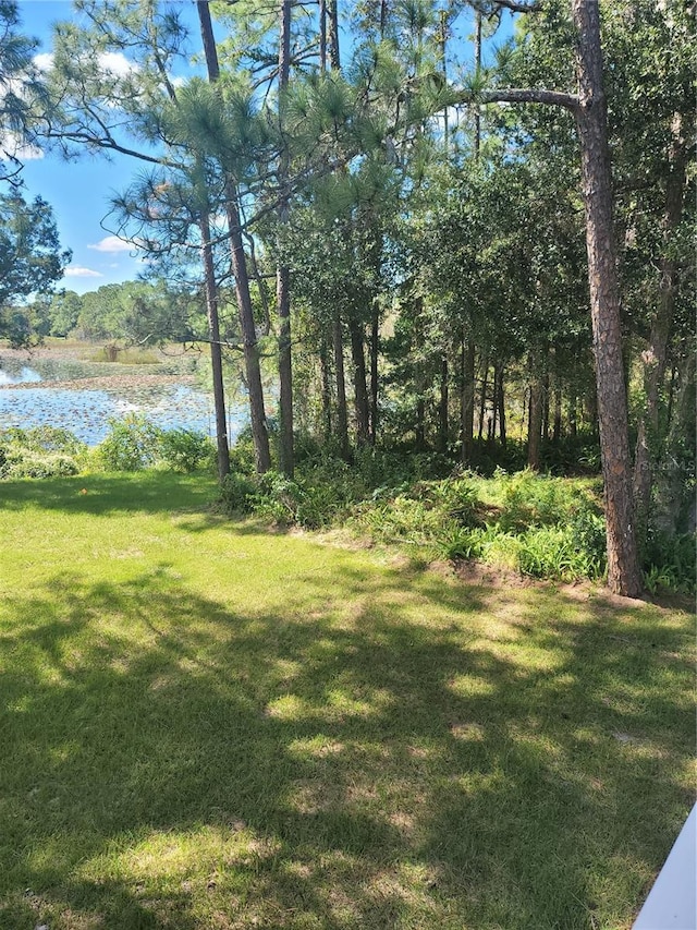 view of yard with a water view