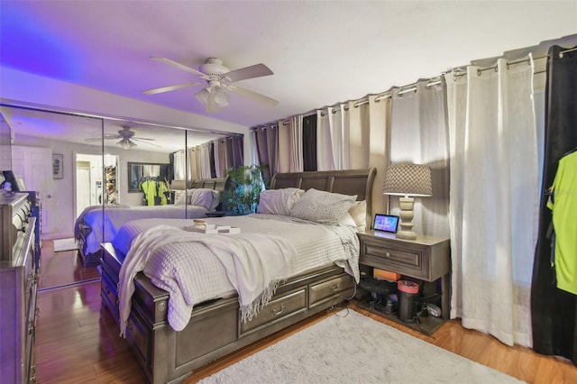 bedroom with ceiling fan, a closet, and dark hardwood / wood-style floors