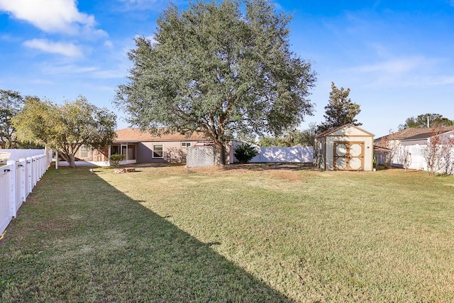 view of yard with a shed