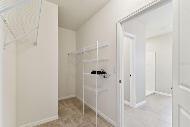 spacious closet featuring light carpet