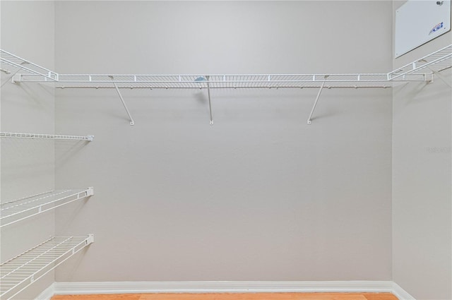 spacious closet featuring wood-type flooring