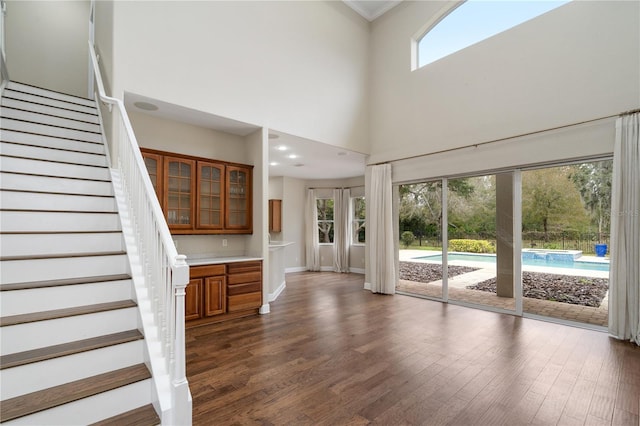 interior space featuring a towering ceiling, dark hardwood / wood-style flooring, and a wealth of natural light