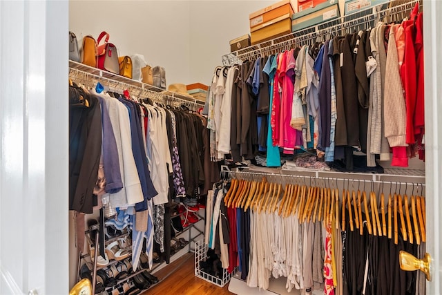 walk in closet featuring hardwood / wood-style flooring