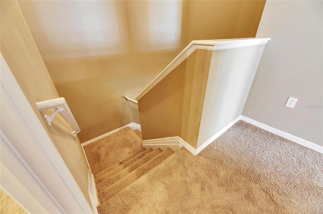 stairway with carpet flooring