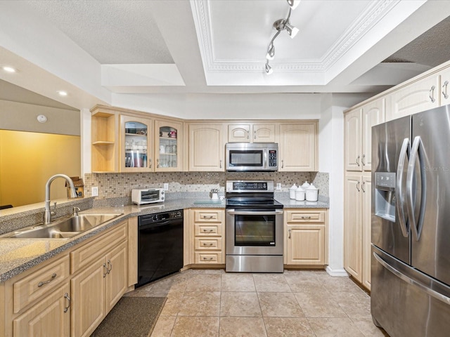 kitchen featuring a tray ceiling, decorative backsplash, sink, and stainless steel appliances