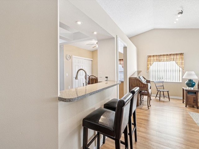 interior space with lofted ceiling, sink, light hardwood / wood-style flooring, ceiling fan, and a textured ceiling