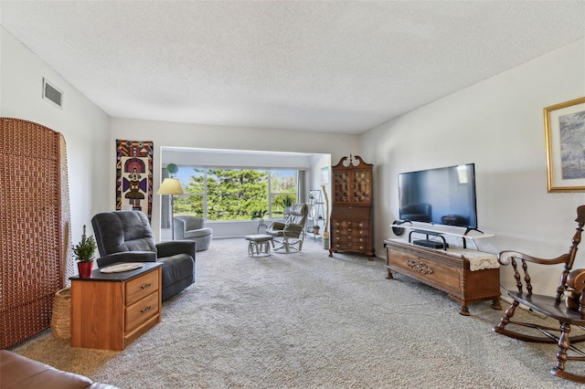 living room with carpet flooring and a textured ceiling