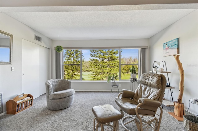 living area with carpet and a textured ceiling