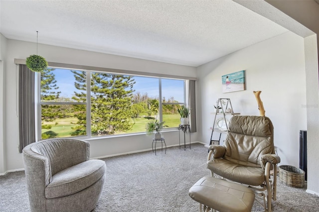 sitting room with carpet floors and a textured ceiling